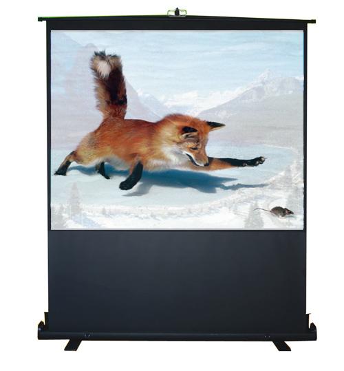 Floor screen.JPG