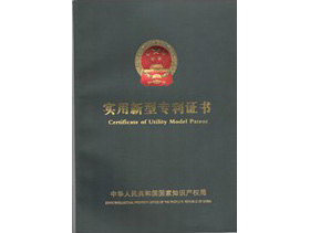 p1-(6).jpg